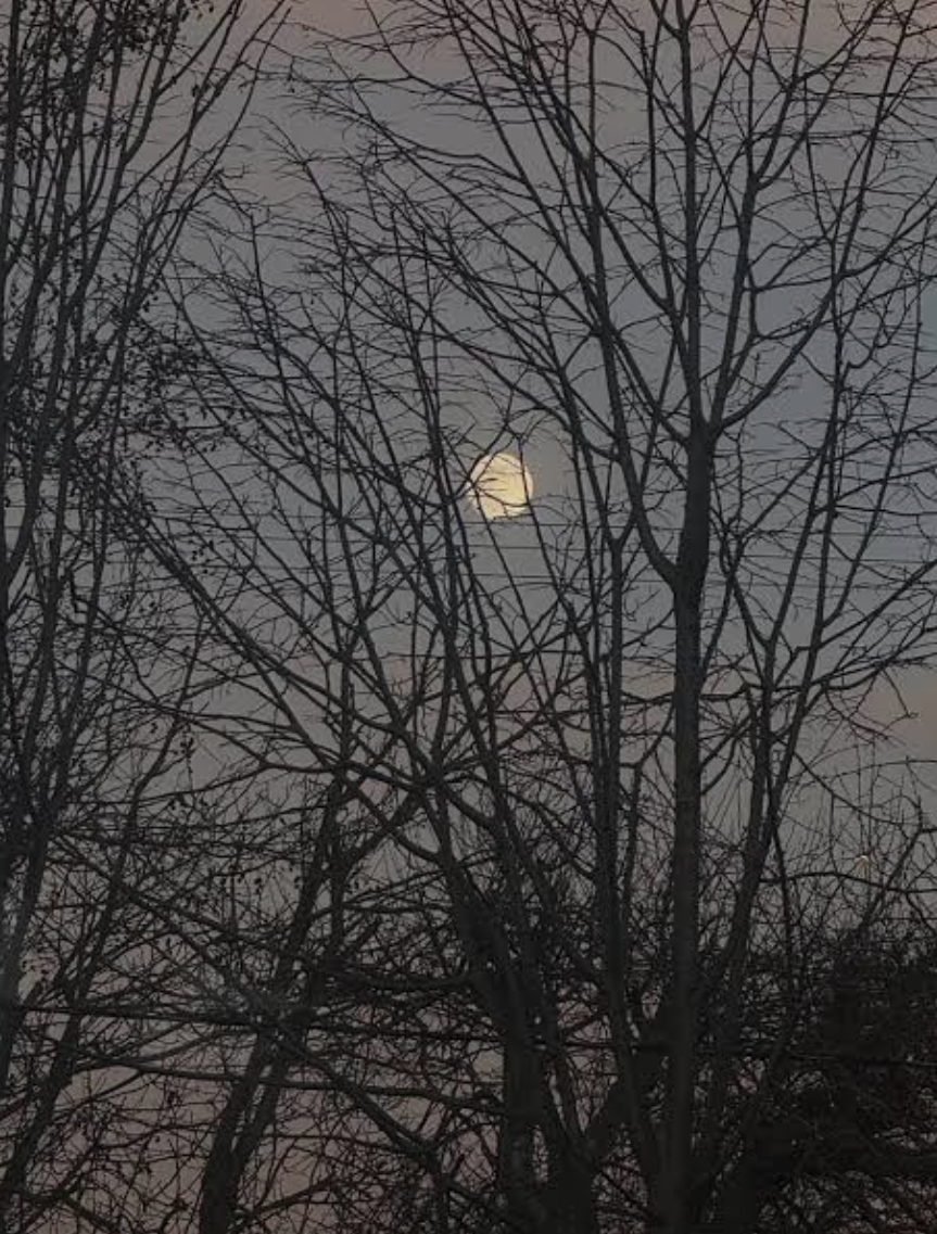 ادم های عمیق «اشاره به کاربری در ویرگول »