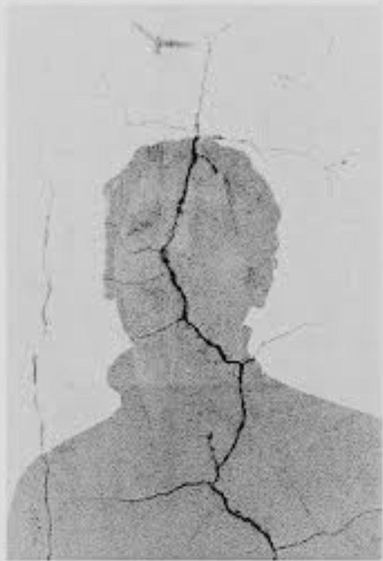 چه کسی می گوید گرانی شده است!؟