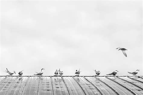 اوضاع خیلی خراب است