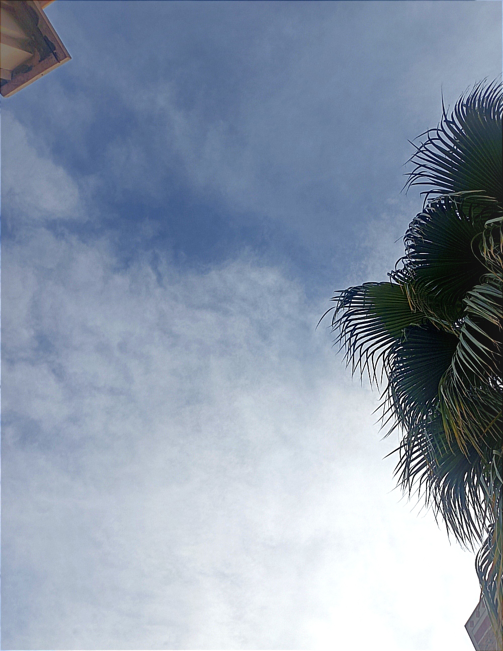 یه عکس یهویی از آسمان((ساعت ۱۰:۹)(۱۴۰۴.۱۰.۷))