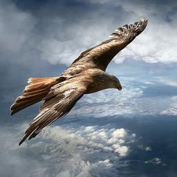 بعد از من و تو "او" می آید؛نه "ما"!