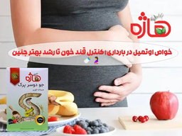 خواص اوتمیل در بارداری از کنترل قند خون تا رشد جنین