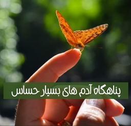 پناهگاه عزیز ما، دومین سالروز تولدت مبارک!