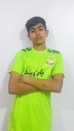 بهترین دفاع های جهان