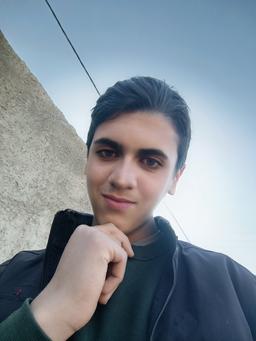 امیر محمد زارعی