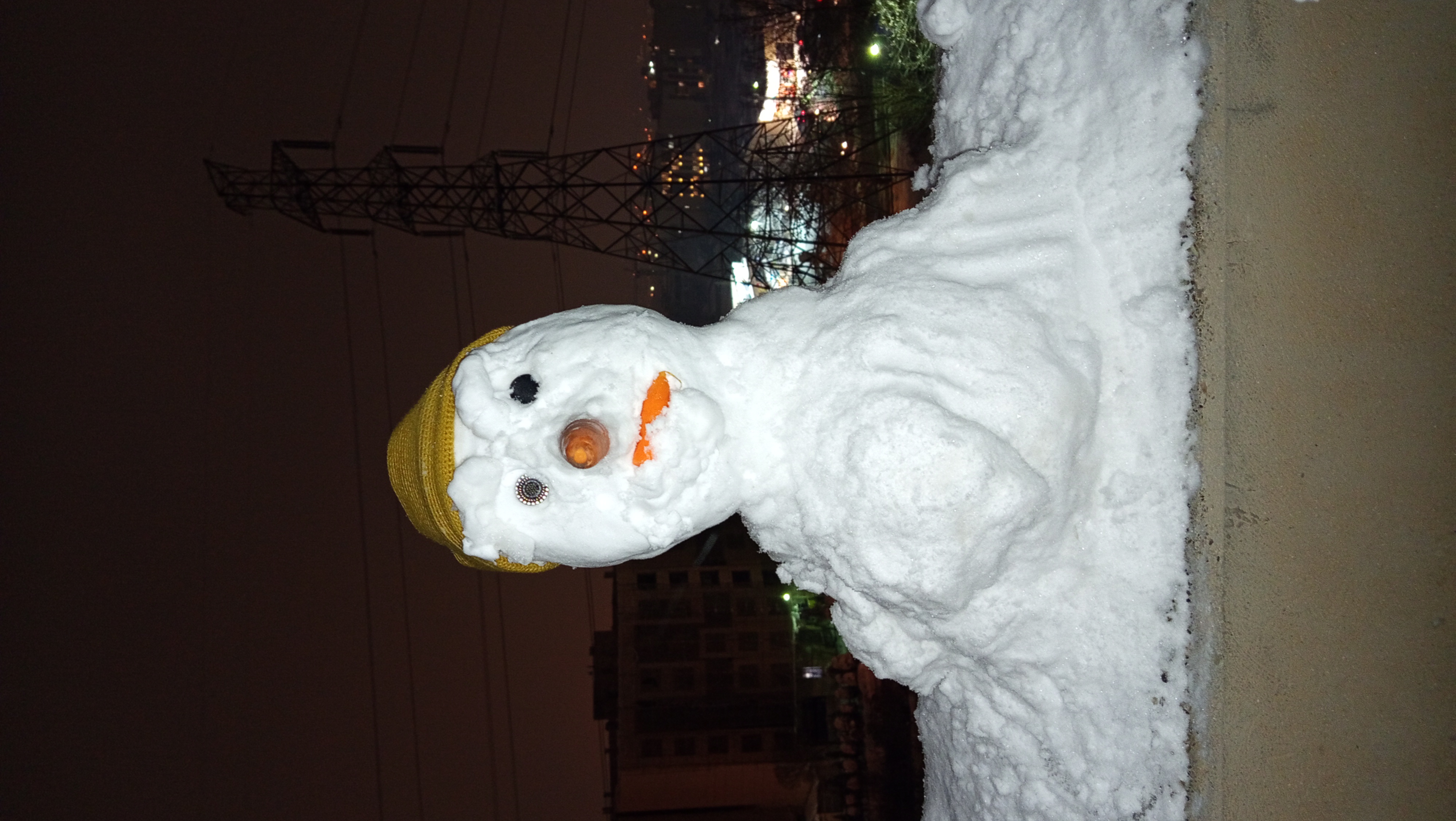 امشب برف میامد، خیلی زیاد.