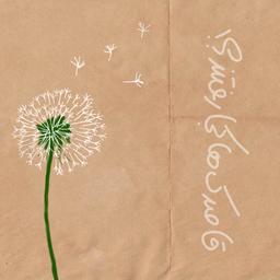 قاصدک‌ها کجا رفتند؟