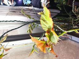 در ستایشِ زندگی ✨