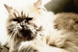 ابتدای پیام.