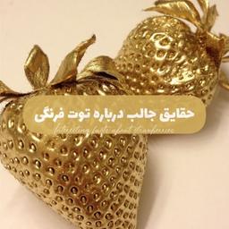حقایق جالب درباره توت فرنگی