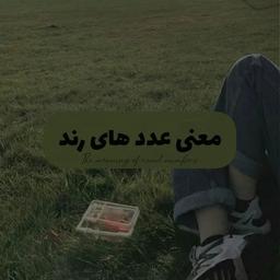 معنی عدد های رند