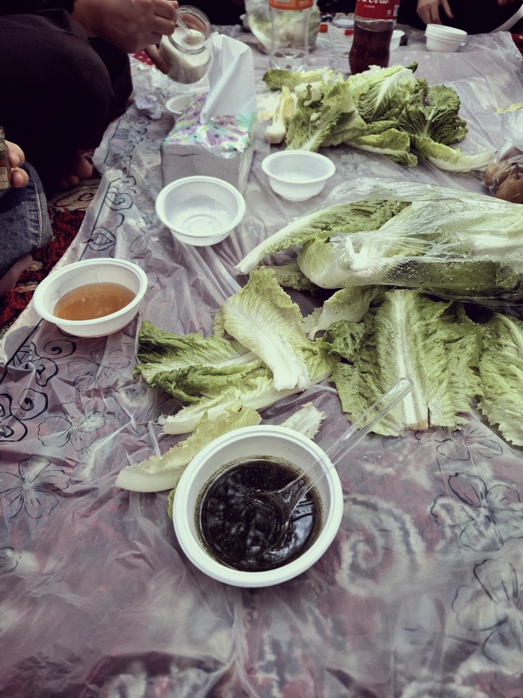 کاهو سرکه ۱۳ بدر.