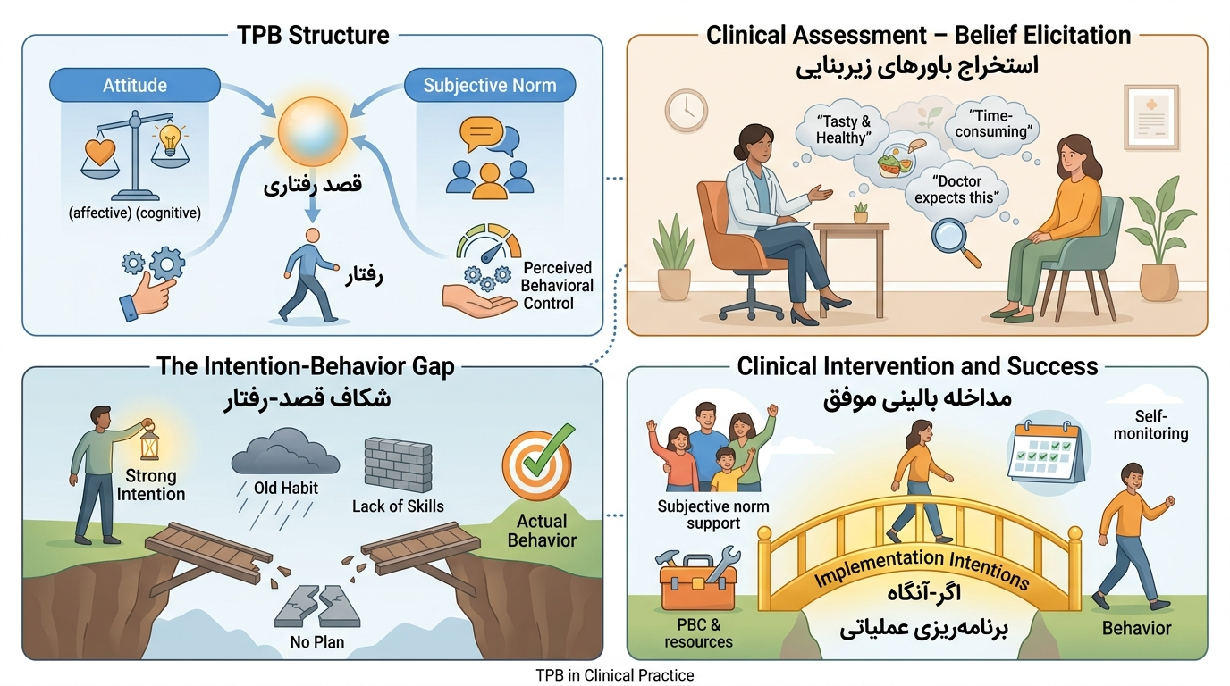 کاربرد نظریه رفتار برنامه‌ریزی‌شده (Theory of Planned Behavior) در مداخلات بالینی: از قصد تا عمل