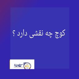 چرا ما به یک کوچ نیاز داریم ؟