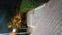 اولین نوشته