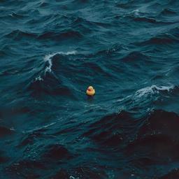 برف نبارید اما خون بارید