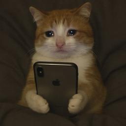 رویایی که بر باد رفت