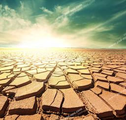 دل خوش به کی، به چی ....