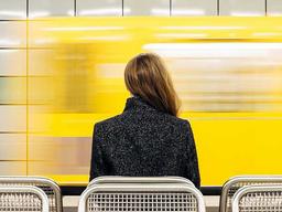 آلودگی صوتی و مغز