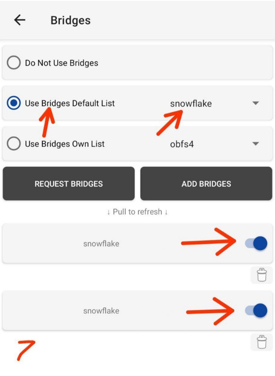 روی گزینه دوم Use bridges default list بزنید و کناریشو روی Snowflake قرار بدید و پایین تر هم دوتا تیکش فعال باشه.