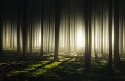 توصیف حس و حال این روزهای من...