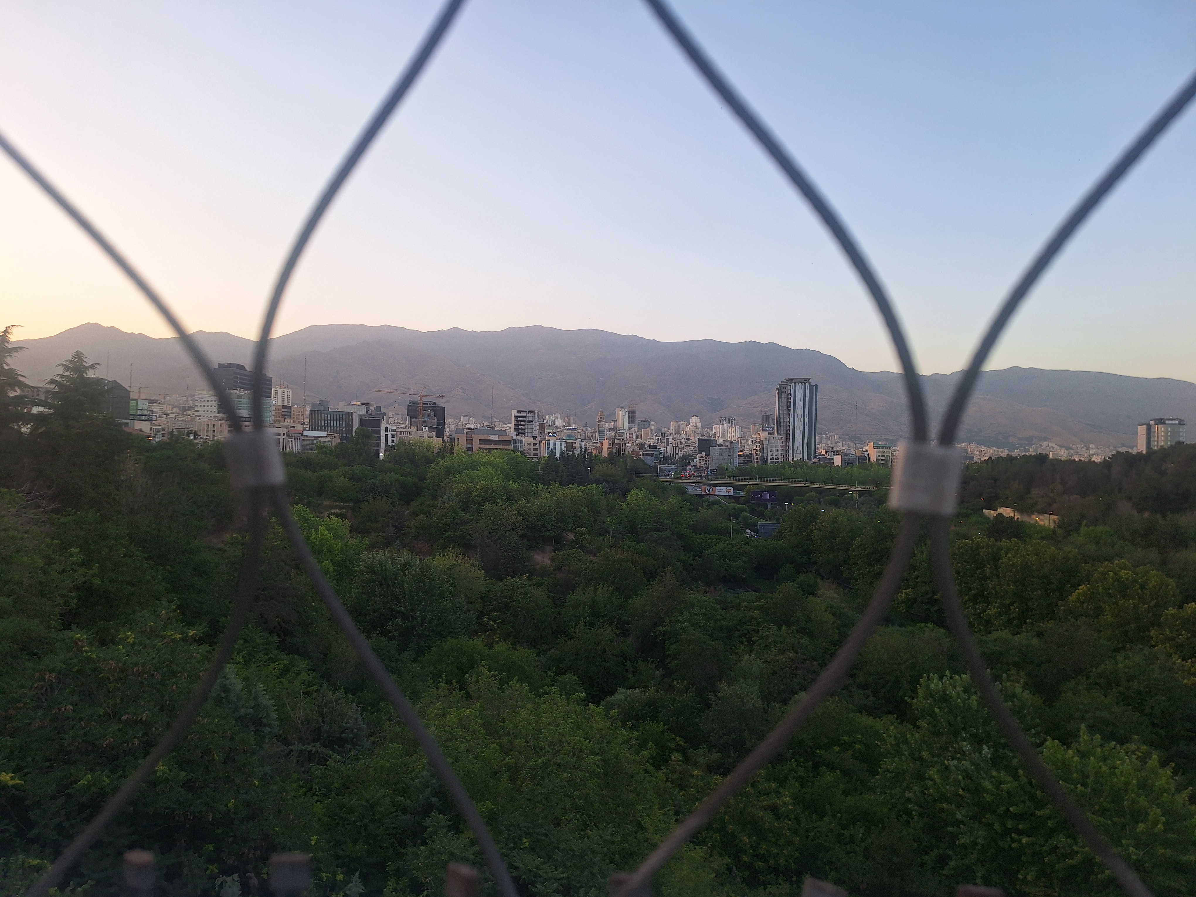 مهارت پوست کلفتی