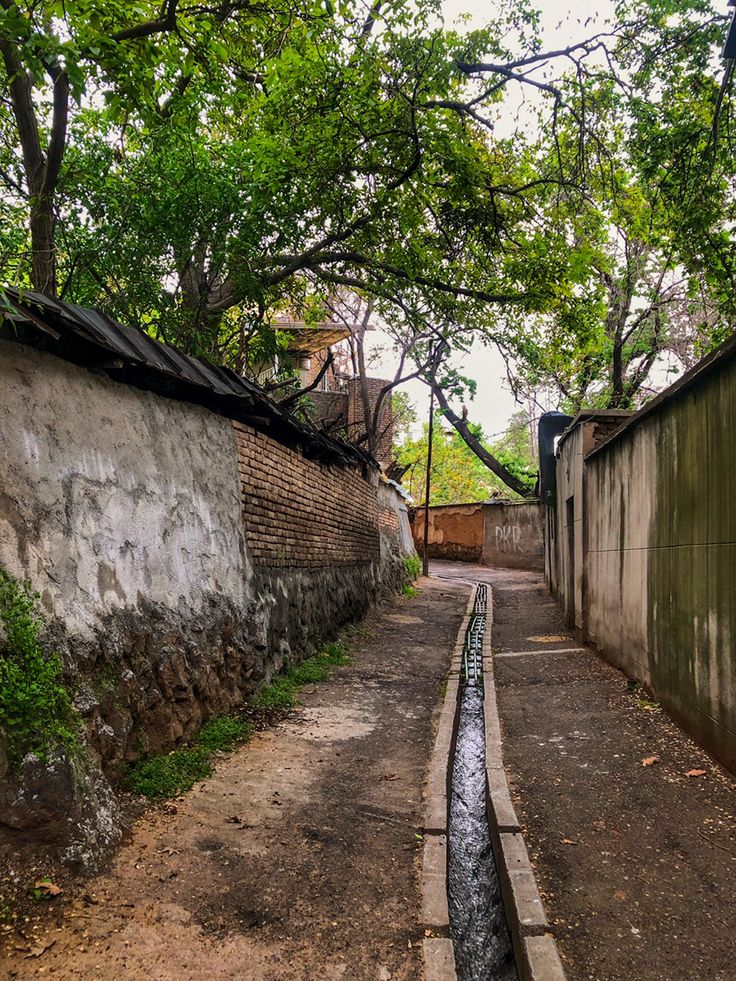 روایت‌های دل| زمانی که از کوچه می‌گذشت