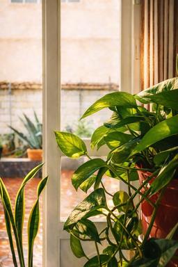 حالِ امروز من :