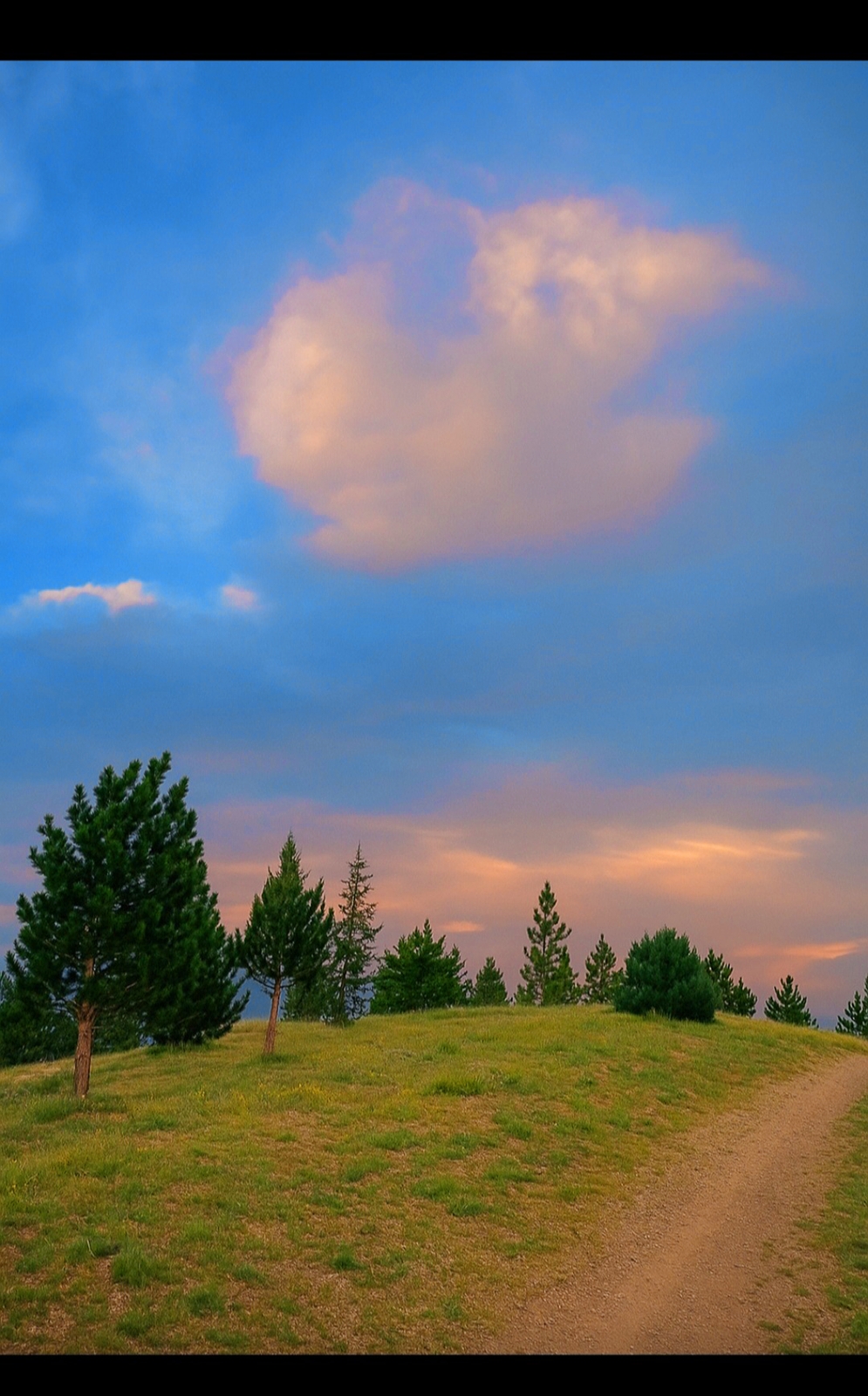 🍂دلنوشته برای زمانی است که یک سال بیرون را ندیده بودم