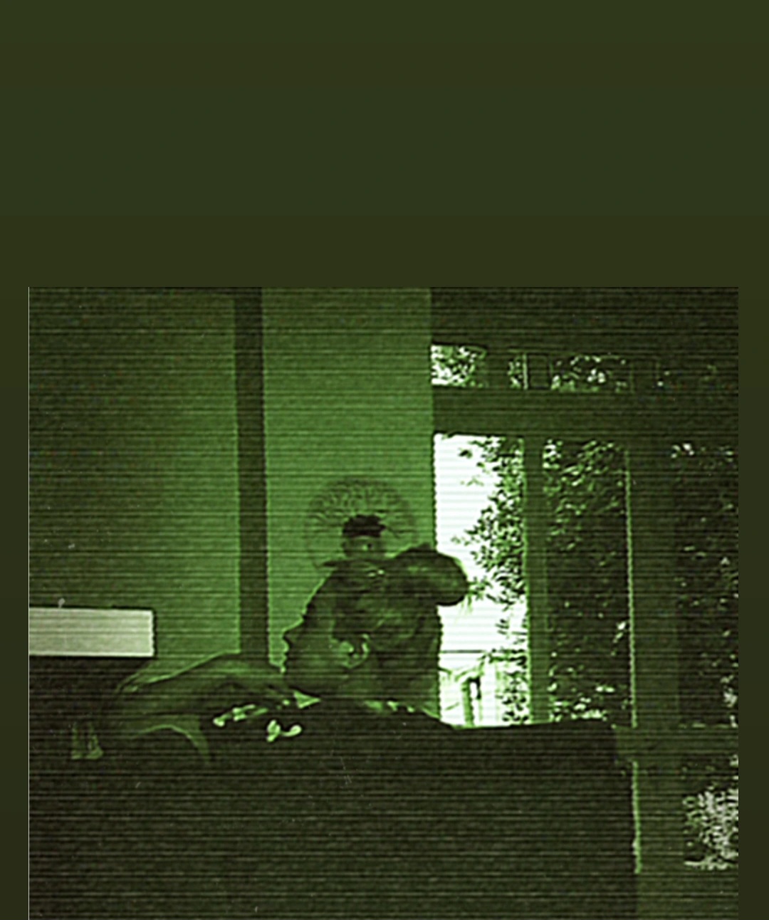 دلنوشته ✍️🖊🖊🍂🍂مرضیه🍂🍂