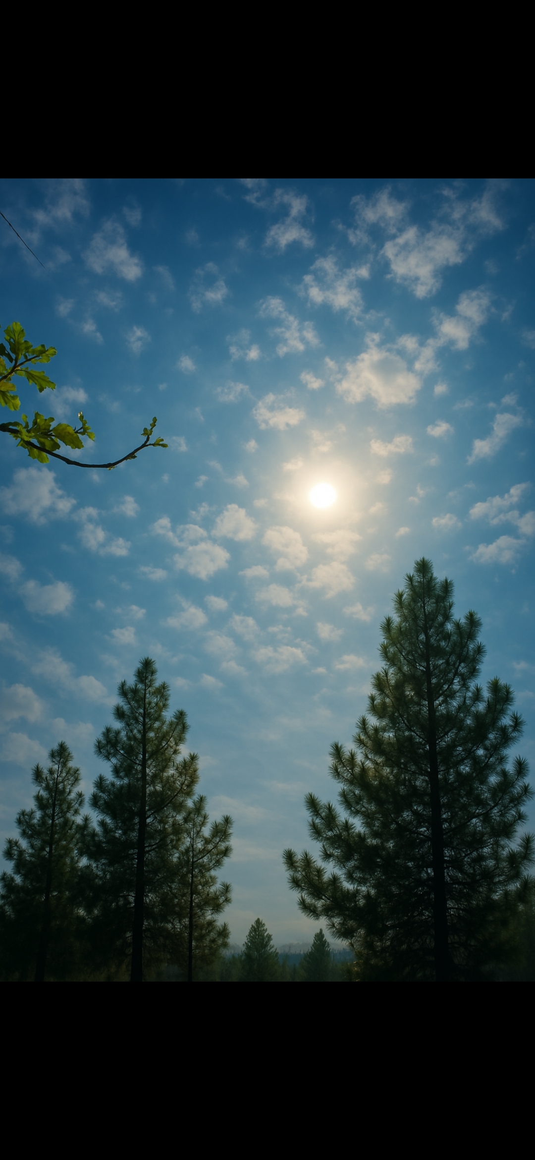 🍂 دلنوشته | مرضیه ✍️🖊 🍂