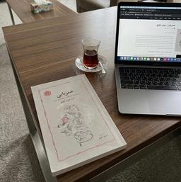 نقدی بر کتاب «همزیایی» ایوان ایلیچ