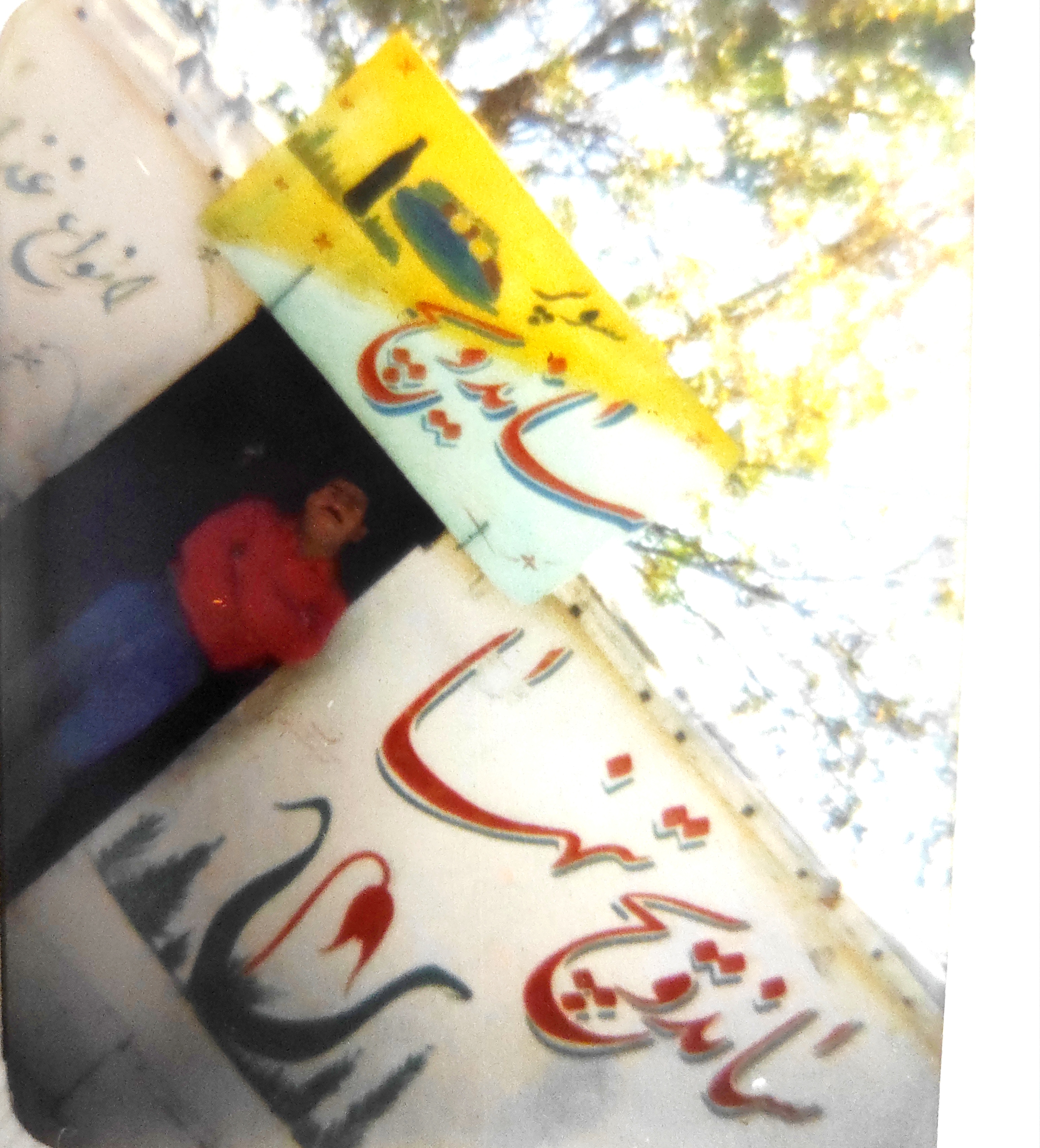 ساندویچ تنها