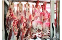 گرگی به گله زد