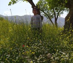 امیرمحمدفرپور