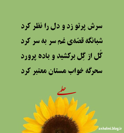 سرش پرتو زد و دل را نظر کرد