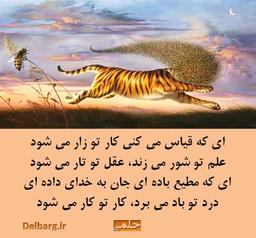 ای که قیاس می کنی..