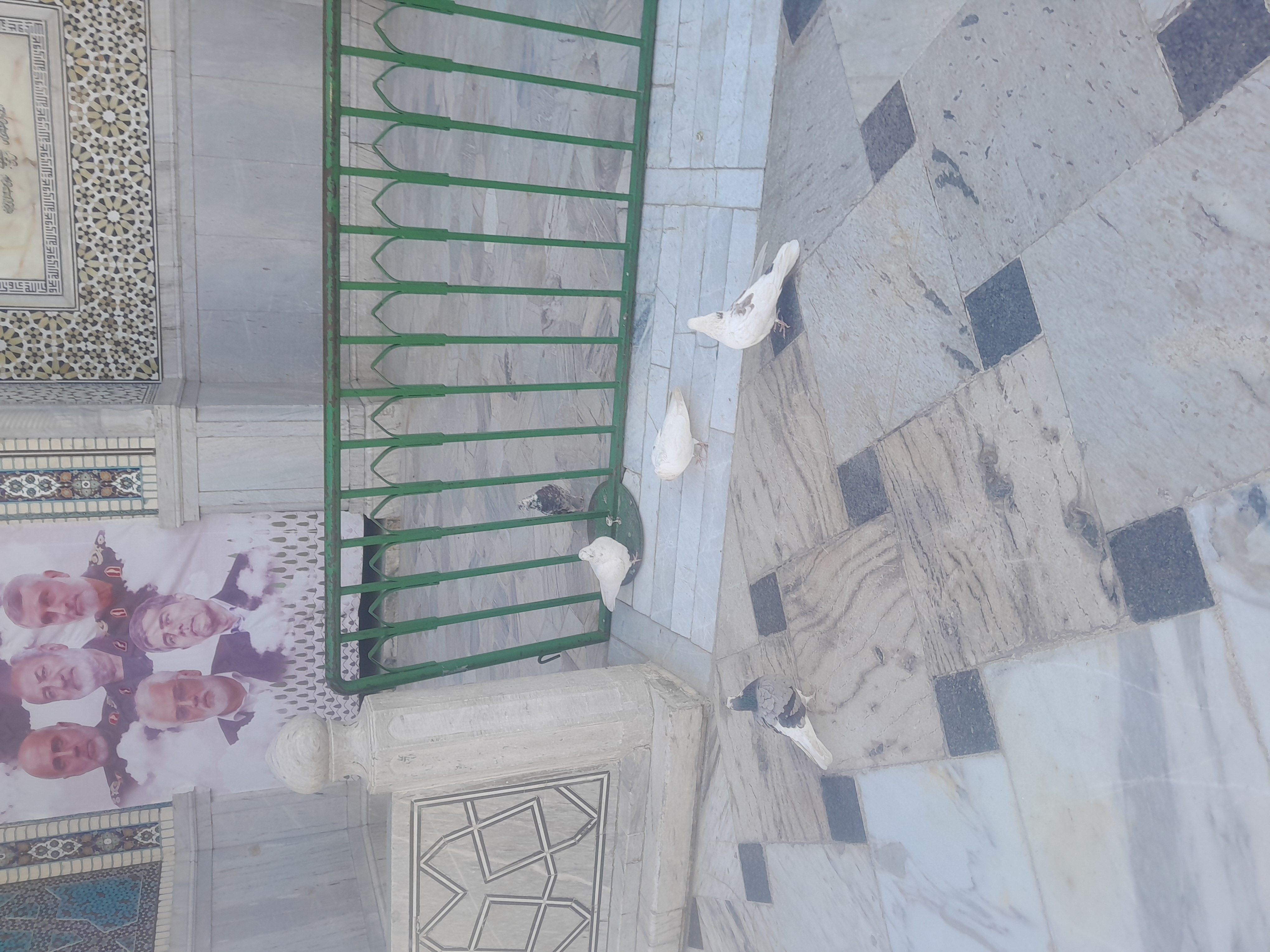 اینجا به ترسم غلبه کردم و از بغ بغویی ها عکس گرفتمممم