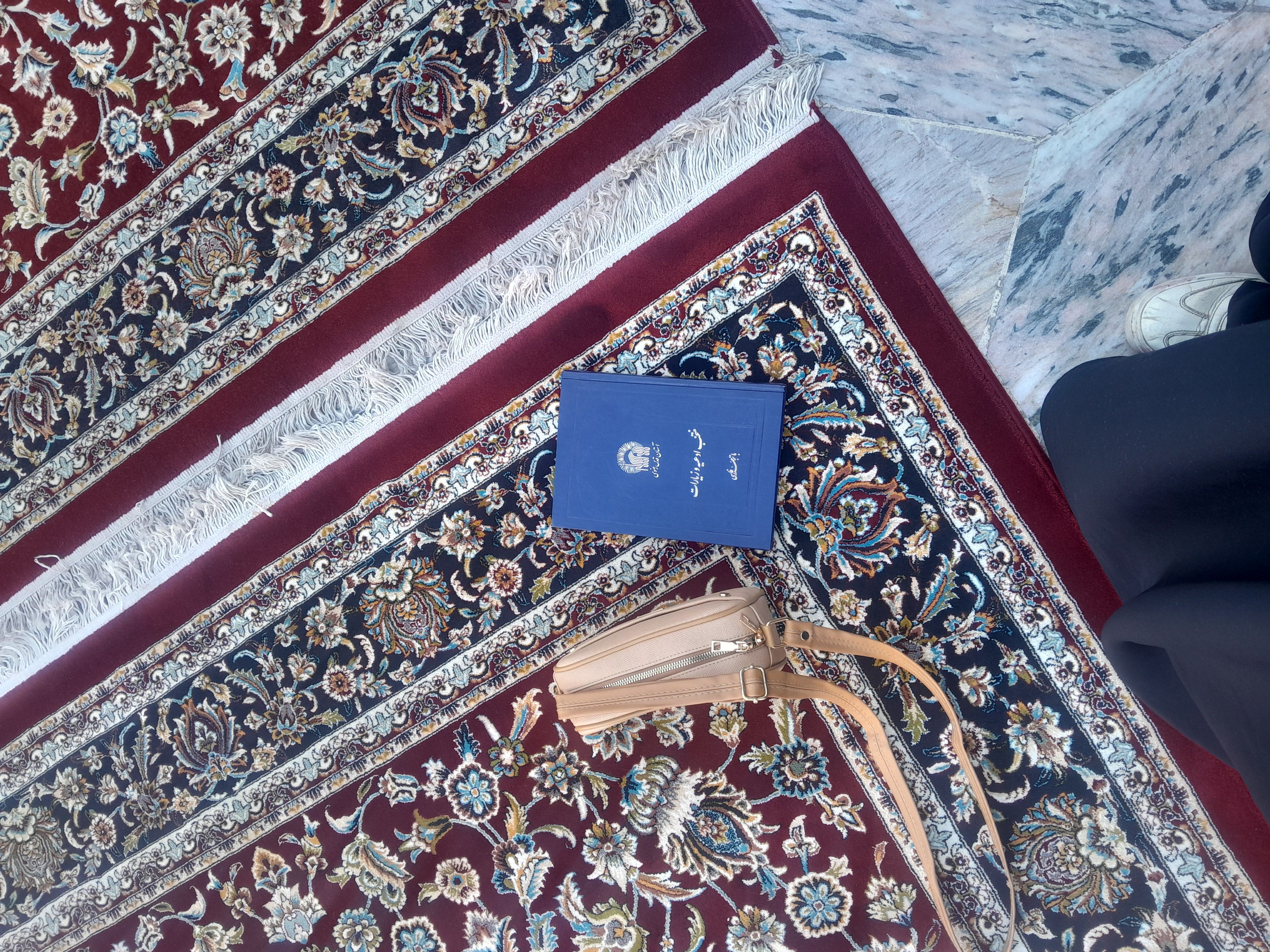 صحن گوهرشاد هیچکیییی نشسته بود با اینکه نسیم صبحگاهی سرد و سایه بود نشستم و کمی از گنبد و پنجره فولاد لذت بردم یاد آرمان علی وردی هم افتادم که عاشق اینجا بود.