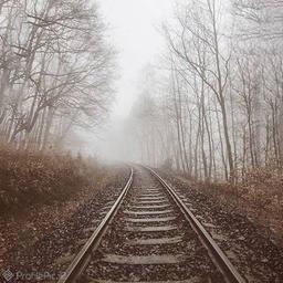 نامه ای که دیر رسید