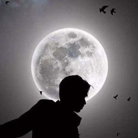 محمد لطیفی پور