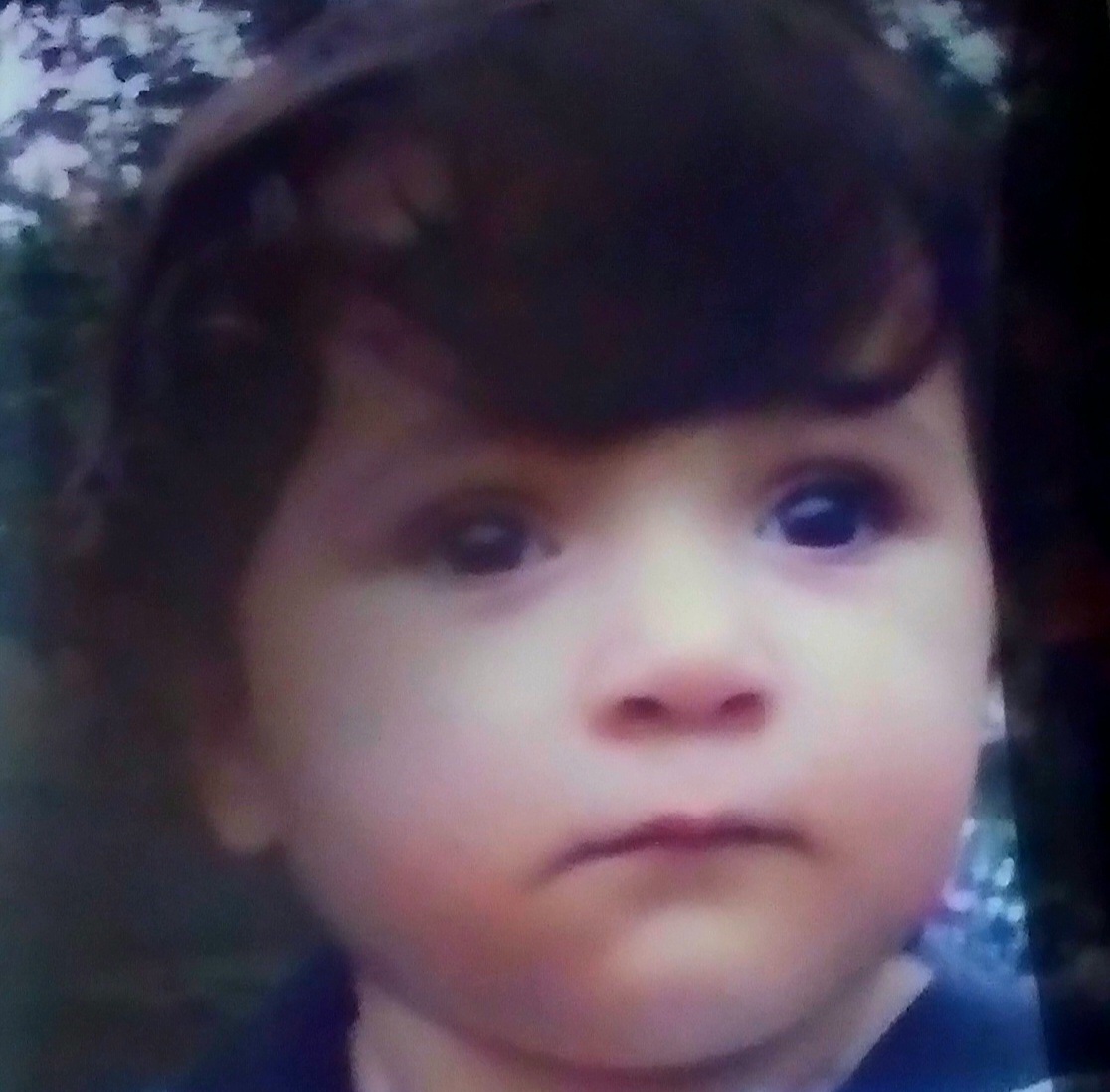 ایلیا بدرک...