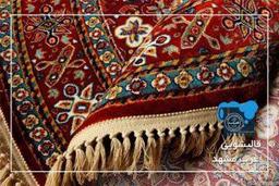 چگونه زرداب فرش را تمیز نماییم؟