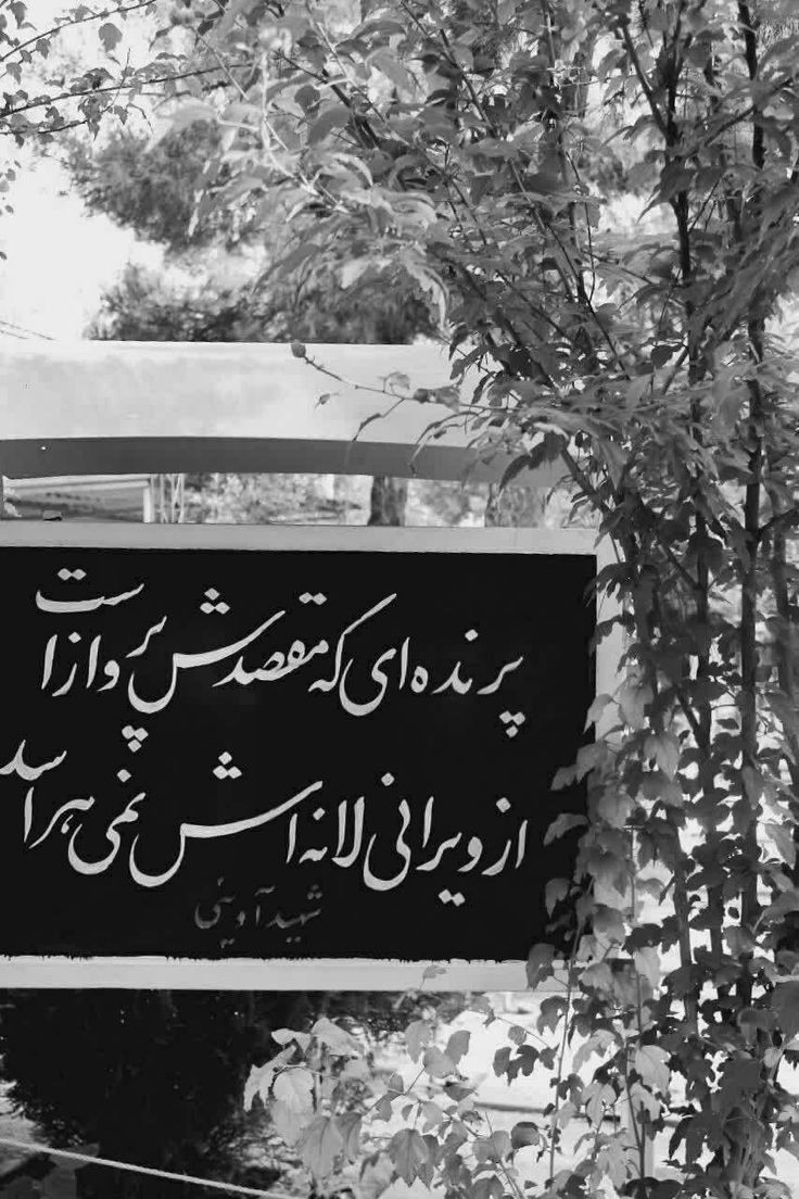 شما قطعاً پشیمان خواهید شد