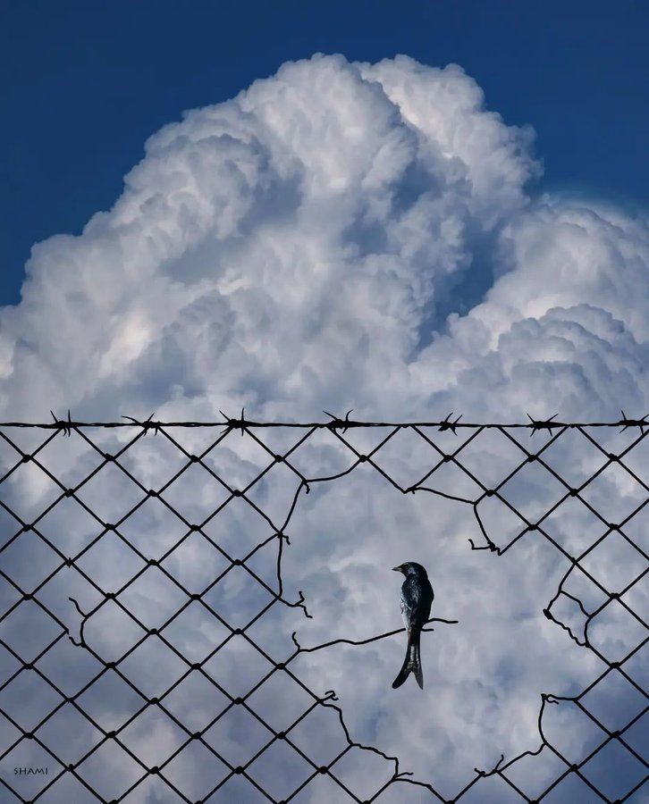 انقلاب ما شاید همین دوام آوردن است