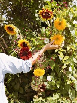 زن، روح زمین