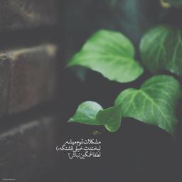 برایت چای می ریزم