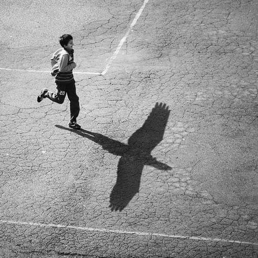 بعد از خواندن یک شاهکار ادبی