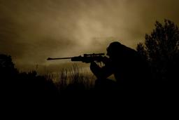 الهام برای انواع قلم