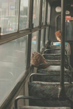 یک نگاه گذرا ...